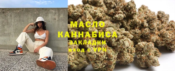 тгк Абаза