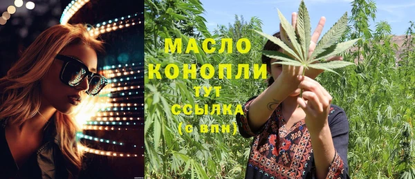 тгк Абаза