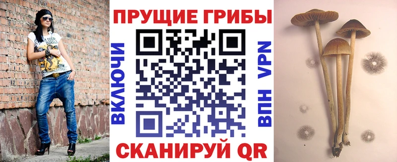 Галлюциногенные грибы Magic Shrooms Тихорецк