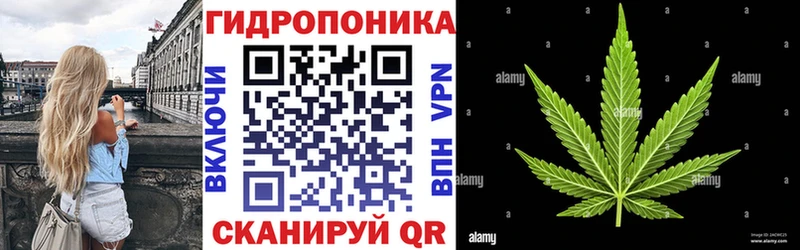 дарнет шоп  Тихорецк  Бошки Шишки конопля 